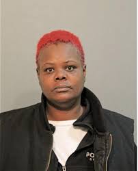 ᐅ Illinois Criminal Records 2009-2026