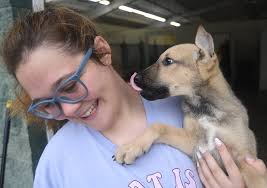 New spay, neuter voucher program in Walker County launches to decrease  strays