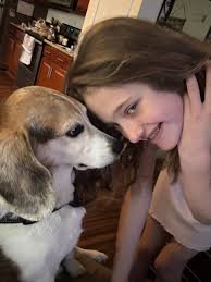 Missing my pet after loss