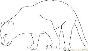 We have a collection of top 20 free printable black panther coloring sheet at onlinecoloringpages for children to download, print and color at their pastime. Black Panther Walking Coloring Page For Kids Free Panther Printable Coloring Pages Online For Kids Coloringpages101 Com Coloring Pages For Kids