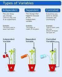 Science Infographic Description Of Independent Variable Dependent Variable And Control Teaching Biology Science Skills High School Science