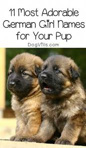These names would help your dog gain more attention than usual. German Shepherd Strong And Loyal Dog Names Girl Dog Names Female Dog Names