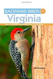 This list of birds of virginia includes species credibly documented in the u.s. Backyard Birds Of Virginia How To Identify And Attract The Top 25 Birds Fenimore Bill 9781423603566 Amazon Com Books