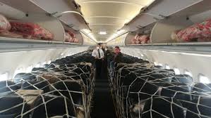 All viva air colombia flights on an interactive flight map, including viva air colombia timetables and flight schedules. Viva Air Now Transporting Cargo For Humanitarian Deliveries In Passenger Cabin Finance Colombia