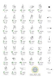 Explore the alphabetical order worksheets to ensure kids learn to categorize words and arrange the letters and words in alphabetical order or abc order. Learn Amharic Alphabet Fidel Feedel Amharic4ras