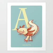 A Is For Axolotl The Underappreciated Animal Series Art Print By Mighty Pigeon 24 00 Axolotl Art Prints Preschool Activities