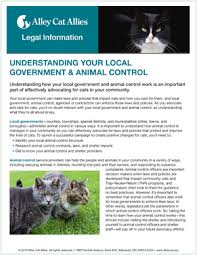 Animal rescue budget template, too many smaller companies run without budgets. Understanding Your Local Government Animal Control Information For Cats
