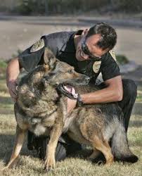 Pin By Becky Sorenson On Major Pics Military Working Dogs K9 Officer Military Dogs