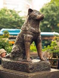 Hachi By Utathya Bhadra 500px Hachiko Statue Japon Cultura Hachiko Shibuya