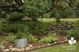 Wiley Mosley (mosleywiley)