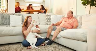 Do not use the free. Dog Will Not Potty Train Www Macj Com Br