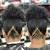 Undercut Black Women S Hair