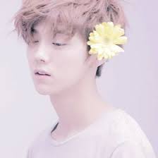 pou Paula tang (bobot820)