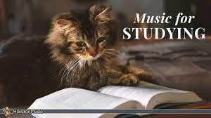 You have probably heard of the mozart effect. Classical Music For Studying Brain Power Mozart Vivaldi Tchaikovsky Youtube