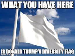 See, rate and share the best white flag memes, gifs and funny pics. White Flag Memes Imgflip