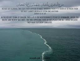 Pin By Radhiah Serene On Islam Miracles Of Quran Quran Islamic Quotes