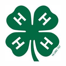 UF / IFAS Extension Charlotte County Florida 4-H | Punta Gorda FL