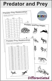 A Predator Prey Activity For An Ecology Or Environmental Science Unit The Graph Is Differentiated And T Relationship Worksheets Environmental Science Graphing