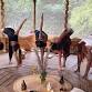 Yoga with Mariella - Beginners event image