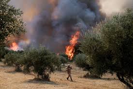 Η καθιέρωση του βοήθησε το ταχυδρομείο να κάνει πιο εύκολη, απλή. Uxuzn5nso8qzkm
