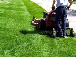 How to Make Money by Lawn Mowing Service in Nigeria