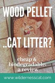 Wood Pellet Cat Litter Review We Tried Horse Bedding Cat Litter Cheap Cat Litter Wood Pellets Best Cat Litter