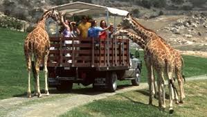 View san diego zoo & safari park in a larger map. Wild Times At San Diego Zoo Safari Park