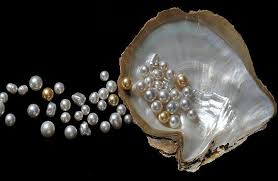 It is generally worn to bring about an overall well being of an individual. Who Should Wear Pearl Gemstone Jyotish Gemstone Pearl Astrokapoor