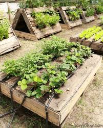 The Most Perfect Raised Garden Beds Made Out Of Pallets 1001 Pallets Pallet Projects Garden Building A Raised Garden Small Vegetable Gardens