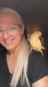 Watercolor Painting for Beginners by Jacqueline Jax