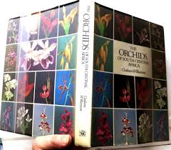 Image result for Habenaria rhopalostigma