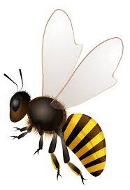 Resultado De Imagem Para Cartoon Insect Flying Png Bee Art Bumble Bee Art Bee Images