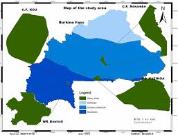 Image result for Ancylobothrys amoena