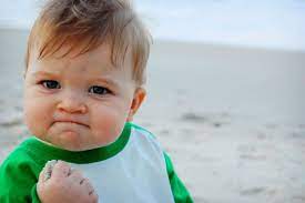 Within the img tag, add the border: How To Embed Images And Videos In Your Comments Hooniverse