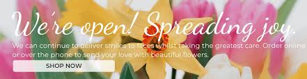 In the company of trees we are able to think. image 3: Beautiful Fresh Flowers Delivered Holbury Southampton Sandra S Florist