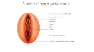 Cosmetic surgery can involve dramatic changes, so it's important to understand what it involves. Clitoral Hood Reduction Qunomedical
