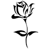 10 gambar tato ikan hiu tribal dan artinya. Https Encrypted Tbn0 Gstatic Com Images Q Tbn And9gcsysuxekjmgqauriuwfedn G6wwiaeuejos3itpo0pjvlxstvhb Usqp Cau