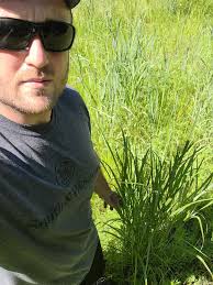 i have 8 acres i want to plant 2 in northern illinois 6 in western kentucky  where does a person find this seed at