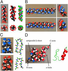 Atherton e., clive d.l., sheppard r.c. Coarse Grained Foldable Physical Model Of The Polypeptide Chain Pnas