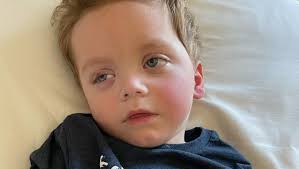 Fundraiser for Paul and Calle Goerke by Anna Marsden : Celebrating the life  of Hugh Robert Goerke