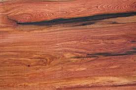 Image result for Guibourtia schliebenii