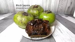 It is a beautiful large, fast growing tree with very good tasting friut. Fruit Trees Chocolate Pudding Fruit Tree