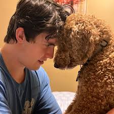 Lizzie Holmes (@lizzie_holmes_) • Instagram photos and videos