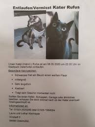 Weil der akku ihres handys leer gewesen ist, hat sich laura n. Rufus Vermisst In Osterhofen Tierschutzverein Deggendorf Facebook