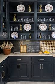Navy Blue Wellborn Cabinetry In The Wet Pantry Of The 2015 Southern Living Idea House Cabinets Are T Southern Living Homes Kitchen Inspirations Kitchen Design
