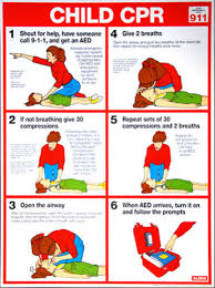 Details About Child Cpr First Aid Instructional Wall Chart Poster Arc Aha Guidelines