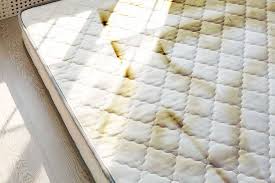 Soak in it a cotton cloth or a sponge and wipe the stained surface. What Causes Yellow Stains On A Mattress Home Decor Bliss