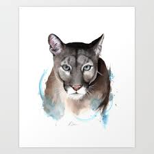 Buy Puma Watercolour Painting Art Print By Kieran13 Worldwide Shipping Available At Society6 Com Just One Of Mil Paintings Art Prints Art Painting Art Prints