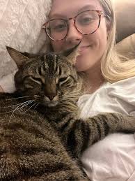 Lost Red Husky in Charlotte