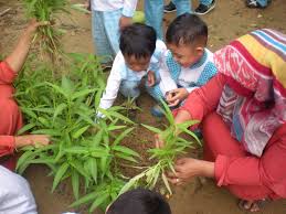 To download mp3 of kegiatan pembelajaran tema tanaman sub tema tanaman sayuran kacang panjang sabtu 30 jan 2021, just follow this present can not be coupled with any other provide. Tema Tanaman Sub Tema Tanaman Sayuran Memanen Sayuran Sentra Kebun Paud Nurul A La Langsa